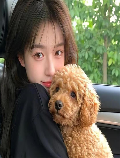 一见倾心免费观看_风犬少年的天空免费观看全集_星汉灿烂电视剧45全集免费观看